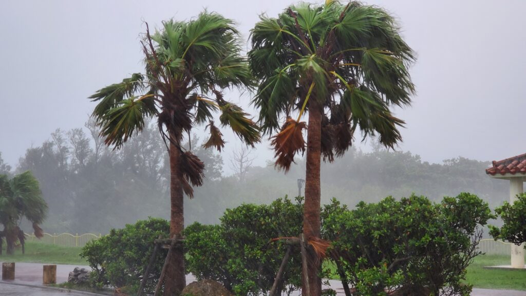 okinawa-typhoon-taisaku